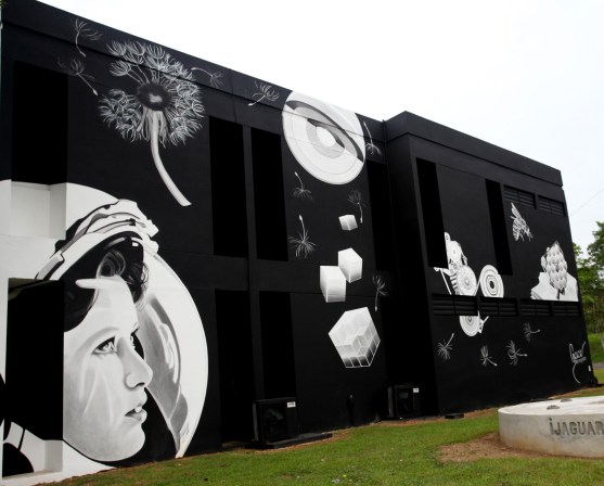 copy-of-mural-grace-montalvo-foto-por-marvin-fonseca-001-2